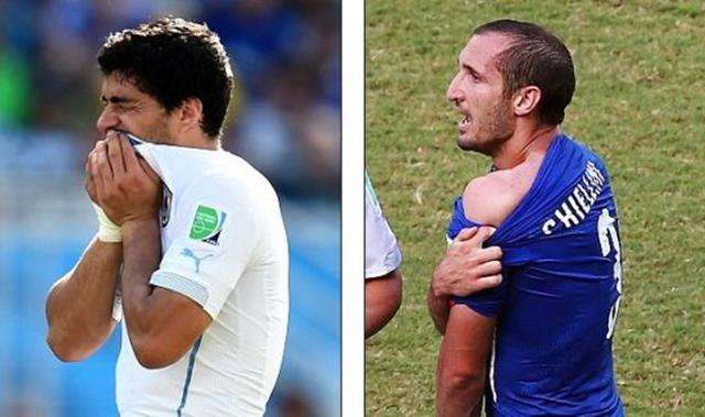 他大赛冠军 他大赛冠军