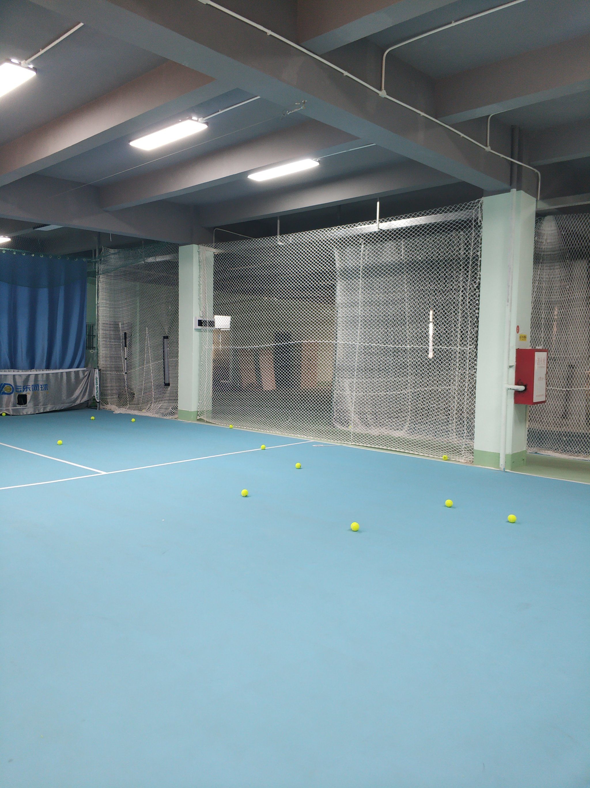 手的问题 手的问题